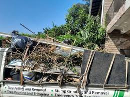 Best Scrap Metal Removal  in Stony Point, MI