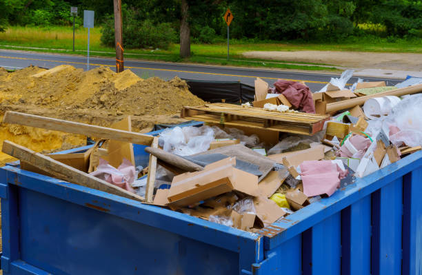 Best Residential Junk Removal  in Stony Point, MI